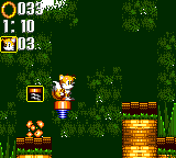Bouncy Jungle Fox.png (6 kB) Sonic Triple Trouble