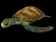 A model of the turtle seen in Aquatic Base's background.