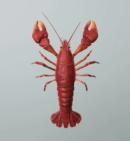 Crayfish