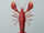 Crayfish