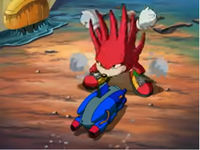 "New Echidna in Town"