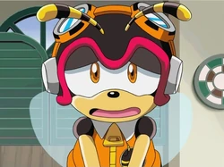 charmy bee sonic x