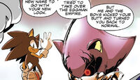 Sonic beats Metal Sonic