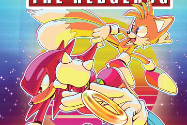 Sonic X The Revenge of Sonic.exe Cover Art by RaphaelHedgehogFan68 on  DeviantArt