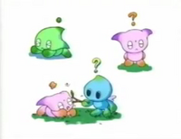 Assorted Chao concepts