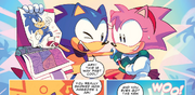 FCBD 21 Sonic i Amy