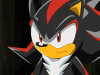 CloseUpShadowTheHedgehog