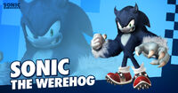 Sonic the Werehog
