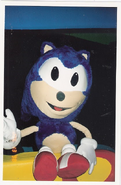 Sonic the Hedgehog