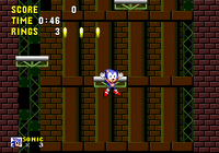 Bottomless Pit Sonic 1