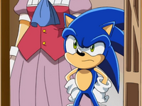 Sonic X Episode 39 Sonic and Vanilla 