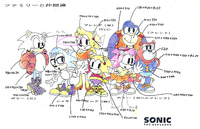 Sonic News Central on X: UPDATE: @TaiIsChanneI report of the