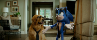 SonicMovie2HomeAloneScreenshot37