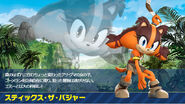 Sticks' Japanese profile for Sonic Boom: Shattered Crystal