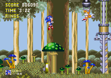 Mushroom hill mushroom