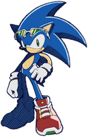 Sonic Riders Sonic