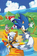 Virgin cover of Sonic the Hedgehog #4