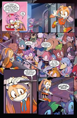 Super Comics: Sonic the Hedgehog (IDW) – #22 – The Reviewers Unite