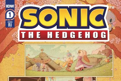 Sonic the Hedgehog 5th Anniversary #1, Select Covers