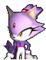 Blaze the Cat