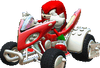 Knuckles (Sonic & SEGA All-stars Racing DS)