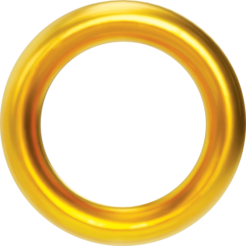 Кільце Sonic and His Friends Wiki Fandom