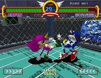 Sonic the Fighters