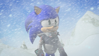 Sonic nervous smile in blizzard