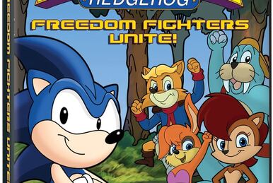  Sonic X: A Super Sonic Hero, Vol. 1 (Chaos Control Freaks /  Sonic to the Rescue) : Video Games