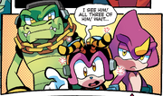 Chaotix Archie