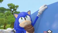 S02E06Sonic hanging