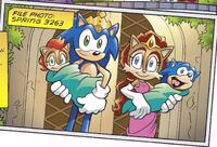 Hedgehog Family 30 years later
