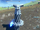 Silver Hammer