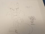 Rouge the Bat/Gallery
