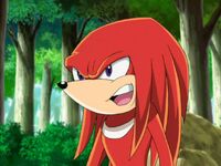 Knuckles confronts ninja Rouge