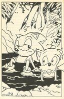 §34 - Sonic and Tails in a puddle of Mega Mack