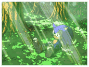 A scene from Sonic's ending.