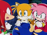 Unconscious Sonic with worried friends