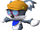 Colonel