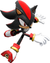 Rivals Shadow the Hedgehog