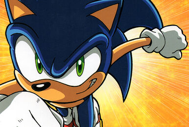 SONIC DRIVE | Sonic X Wikia | Fandom