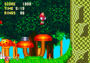 Sonic & Knuckles