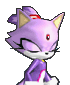 Blaze the Cat