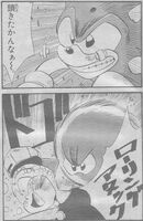 Anton getting beaten by Sonic in The Adventures of SONIC the Hedgehog illustrated stories.