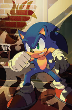 おまとめSonic the Hedgehog #43 アメコミ MAY210450 - SONIC THE HEDGEHOG #43 CVR A ROTHLISBERGER
