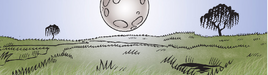 Marshlands