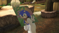 SB S1E31 Photo of Sonic