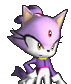 Blaze the Cat