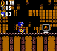 Sonic the Hedgehog Triple Trouble