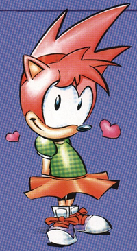 Amy S&K FR guide